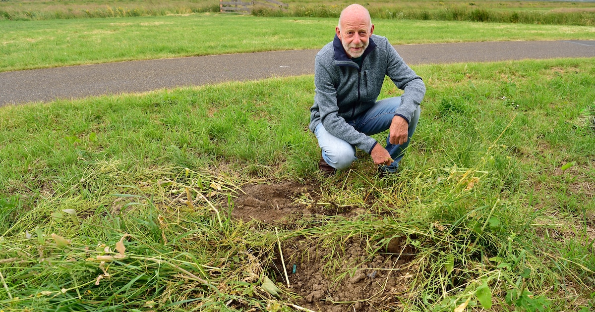 Komt er toch een bos bij Reeuwijk? Provincie kan plan tegemoet zien