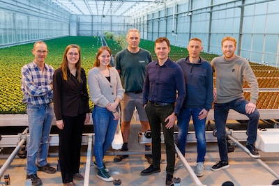 Zonder chemie, mét natuurlijke bestrijders: Maaslandse kweker test duurzame teelt van kamerplant