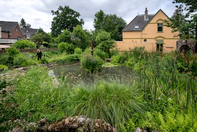 Botanisch tekenen in de Tuin van Sjef