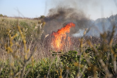 NL-Alert vanwege brand: ‘Ga het gebied niet in het is gevaarlijk’