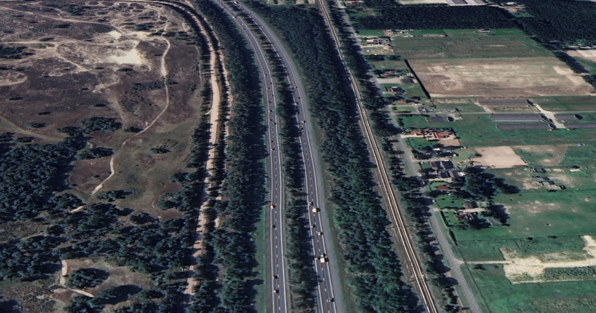 In de berm van deze snelweg loopt al dagen een kat met kittens: ‘Niet ...