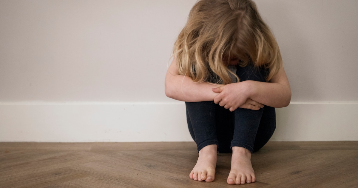 Opnieuw zijn twee meisjes uit Dedemsvaart slachtoffer in een zedenzaak