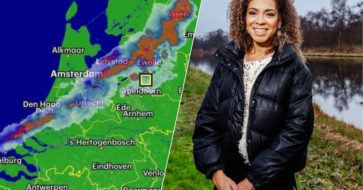 www.ad.nl