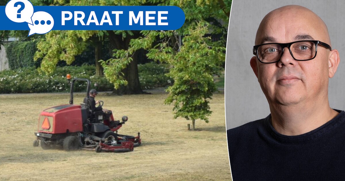 Onkruid tiert welig op stoepen en in parkjes in Geldrop en Mierlo; moet de gemeente vaker maaien?