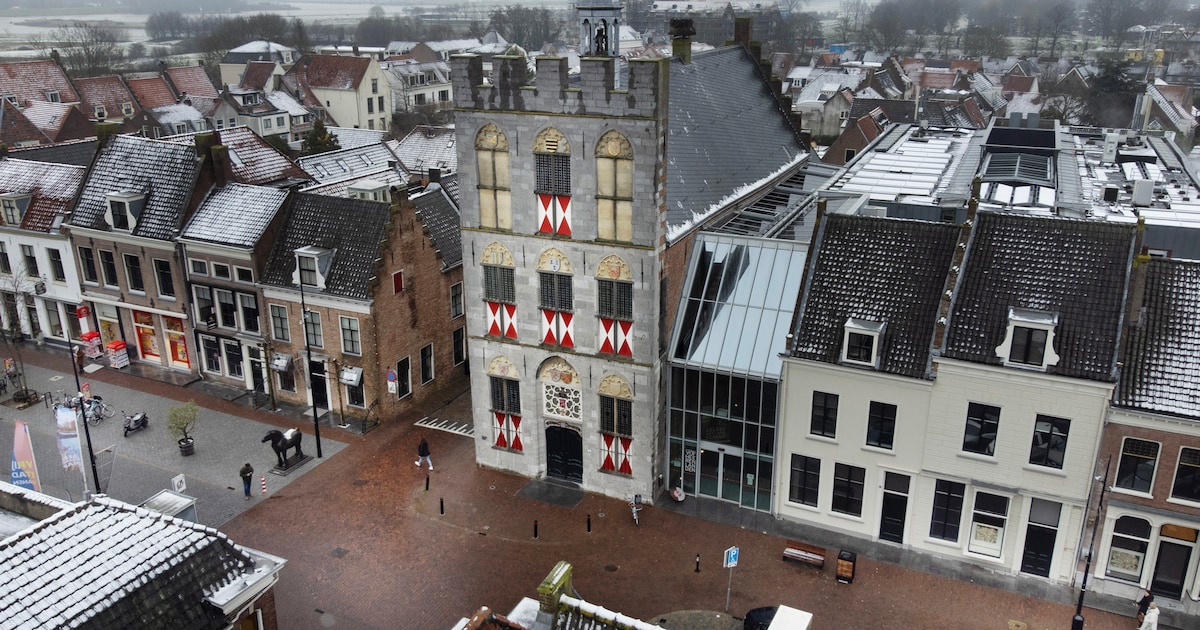 Stedelijk Museum en bibliotheek naar oude stadhuis Vianen, blijft een plek voor ontmoeting