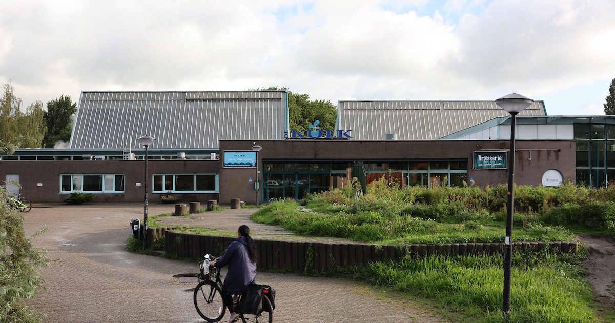 Begroting Vlaardingen: geen nieuw zwembad, verplichte vergunning kapsalons en 10 extra boa’s