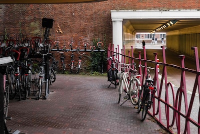 Image related to the article