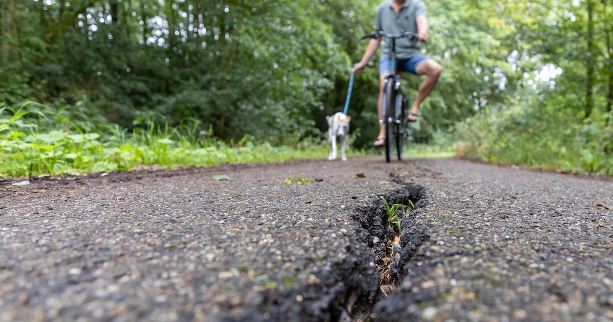 Dijkshoornseweg en kruispunt Schipluiden zorgen voor ergernis bij lezers