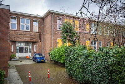 Veelbesproken kastanjeboom blijft nog even staan