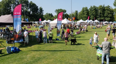 Dogshow Eindhoven in Geldrop met 1.000 honden en Best-In-Show verkiezing