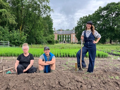 Van kimchi tot vlas: dit trio brengt het veld bij Slot Zuilen tot bloei (en zo help je mee)