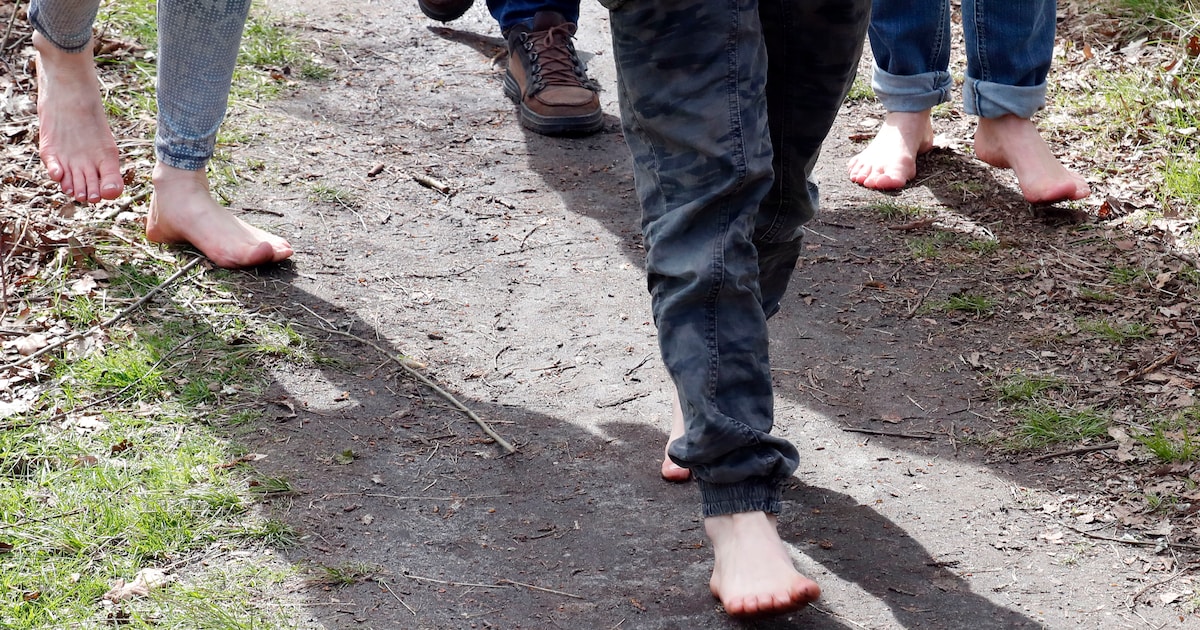 IVN Son en Breugel houdt blotevoetenwandeling in Vressels Bos