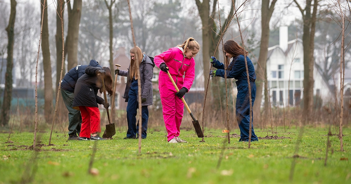 Nieuwkoop start campagne voor vergroening boerenerven: boeren kunnen tot 1000 planten aanvragen