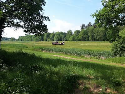 Staatsbosbeheer maait graslanden op de Veluwe voor voedselarme bodem