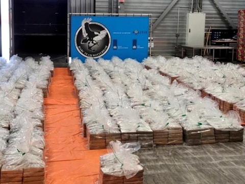 Een in de haven van Rotterdam onderschepte partij drugs. Een Rotterdammer speelde volgens OM en rechtbank een prominente rol bij de invoer van bijna 1200 kilo, verstopt tussen mango’s. Nadat de drugs uit de container waren, werd deze met een peilbaken doorgelaten.