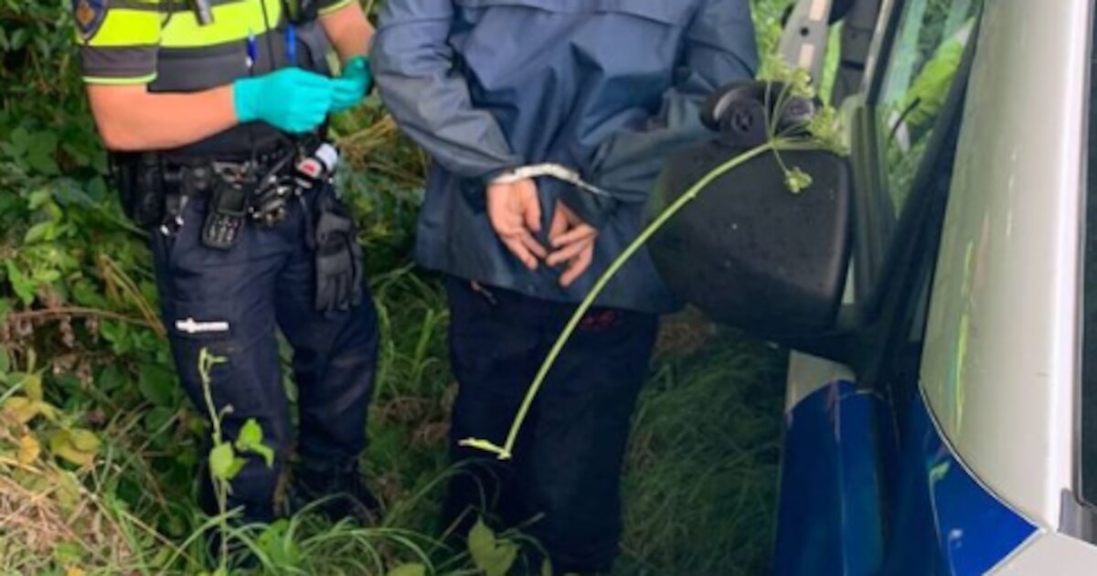 Man (56) met stroperijmiddelen en wietplanten in bosperceel Galder aangehouden