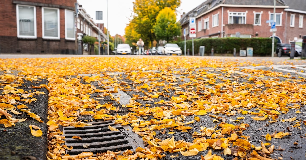 Gemeente Heerlen waarschuwt voor fraude bij rioolverstoppingen