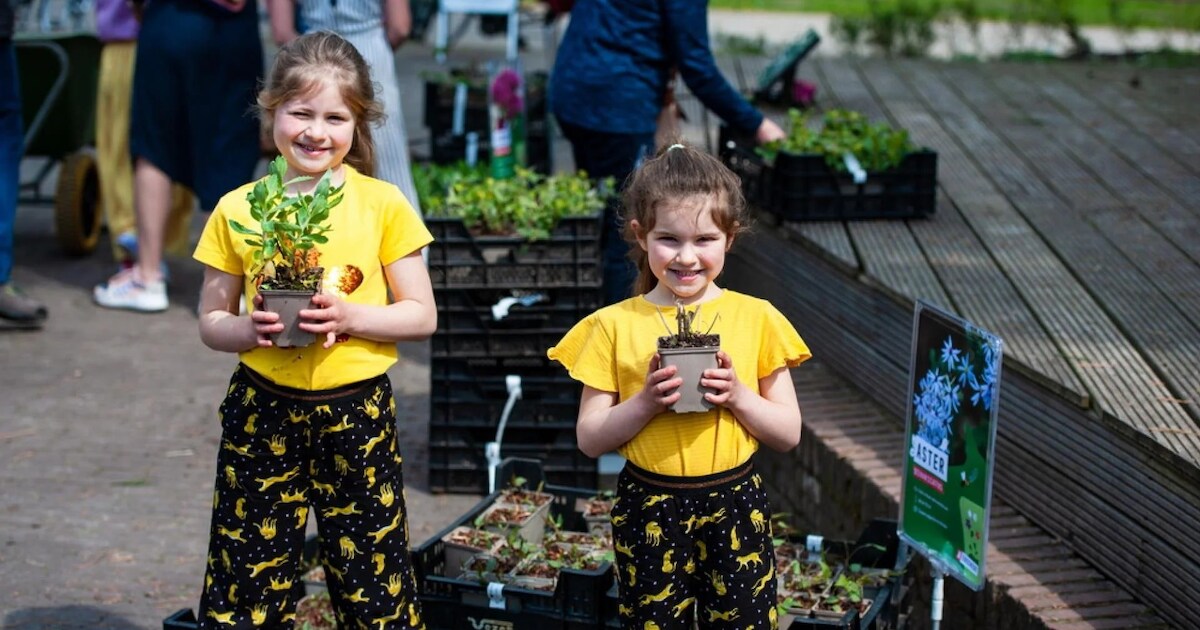 Maak je tuin groener: lever je stoeptegels in voor planten in Maasdijk