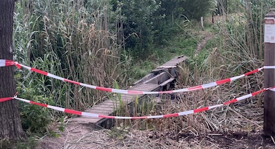 Brand verwoest wandelbrug op landgoed bij jachtslot De Berkt in Heesch