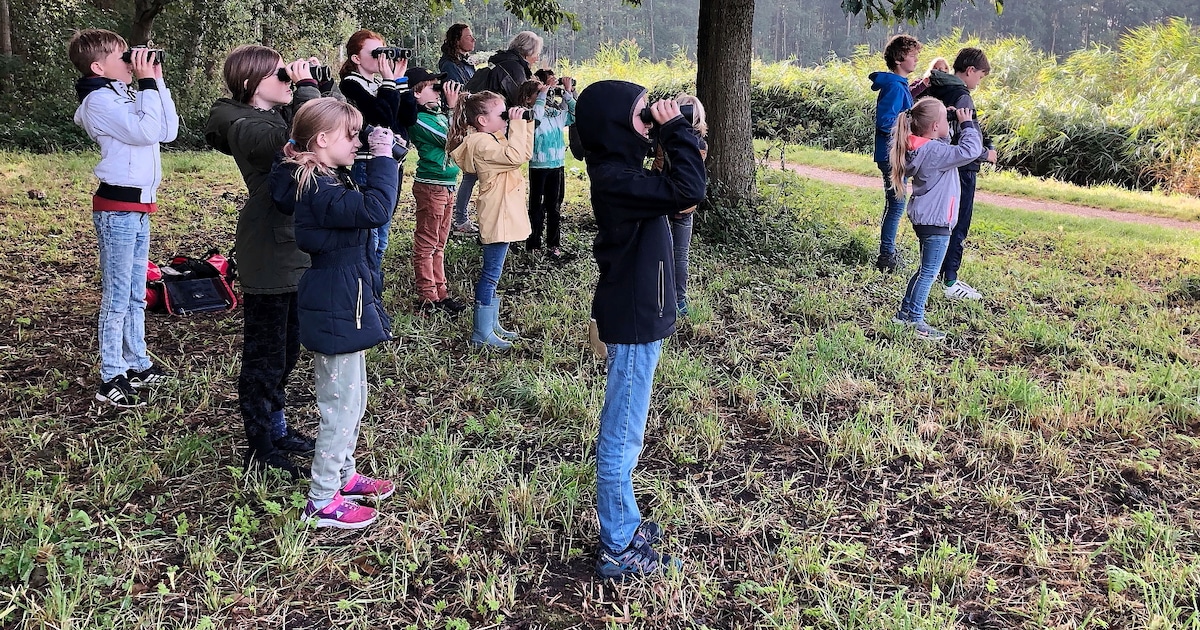Vogelspotten voor kinderen in De Wiebertjes in Bergschenhoek