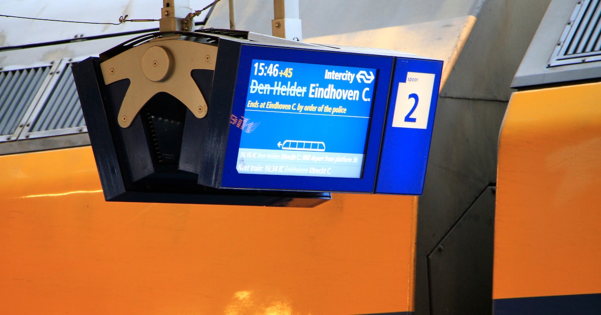 NS(-raadsel): ik moet minder nadenken, anderen misschien juist wat meer