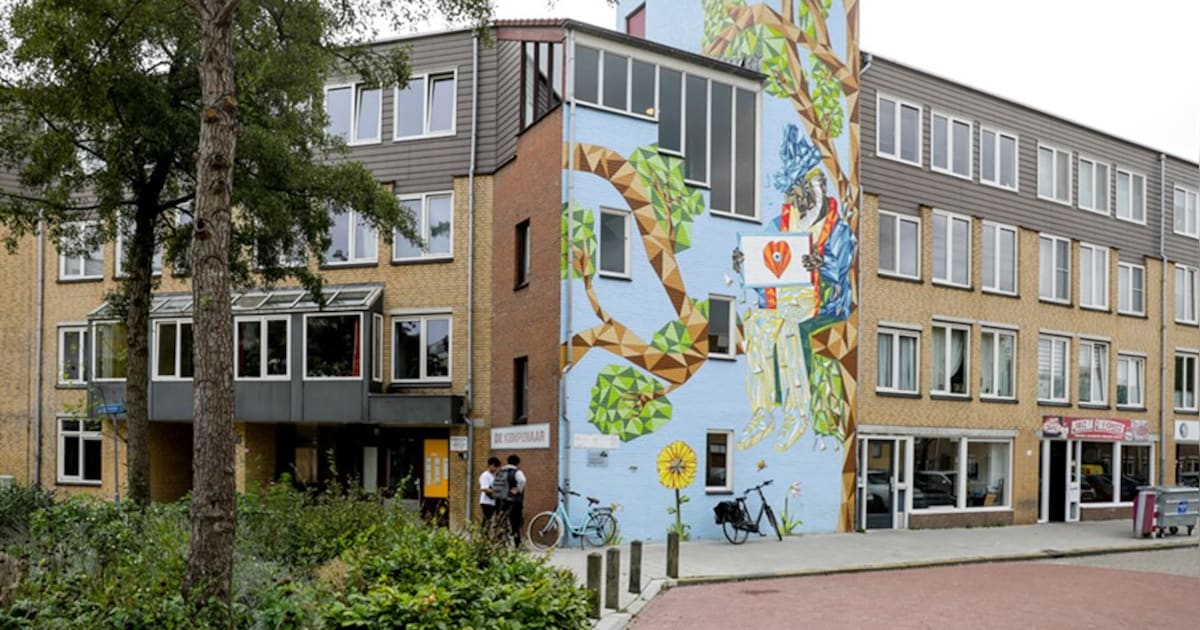 Nieuwegein krijgt extra geld voor wijkaanpak Centrale As