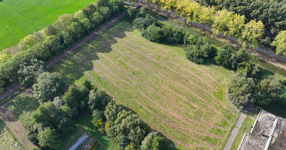 Boerderij Eetmeerbosch plant 4500 nieuwe bomen in Nijmegen-West