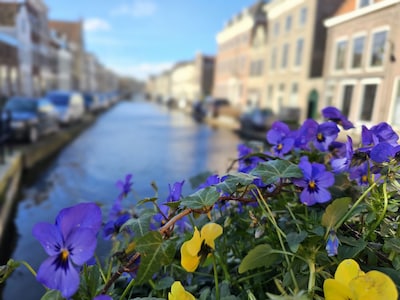 Weekendtips: deze dingen doe je in Gouda (6 - 8 maart)