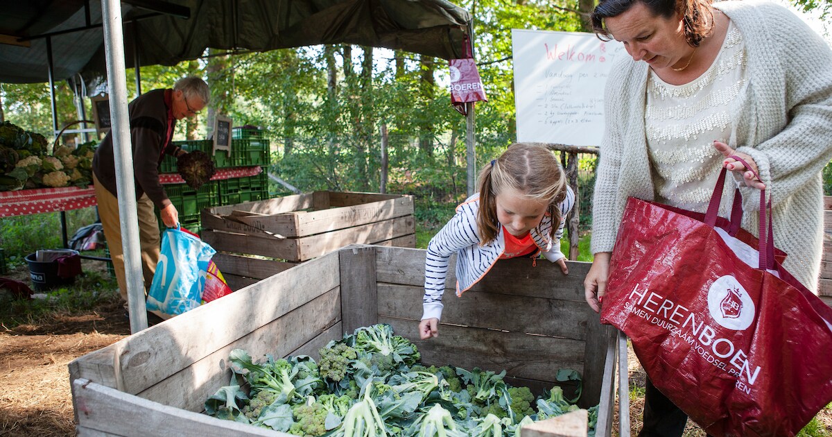 Smullen van in Vlaardingen geteeld voedsel? De Herenboeren zijn in aantocht