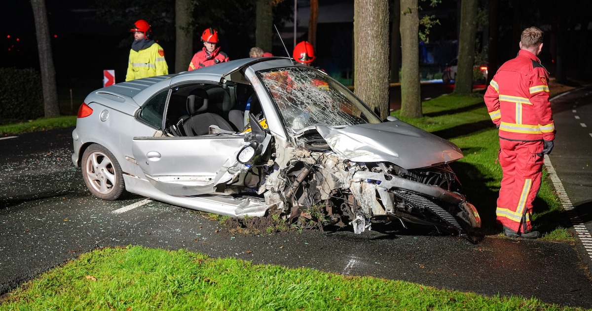 Automobilist zwaargewond na botsing met boom op N987 bij Siddeburen