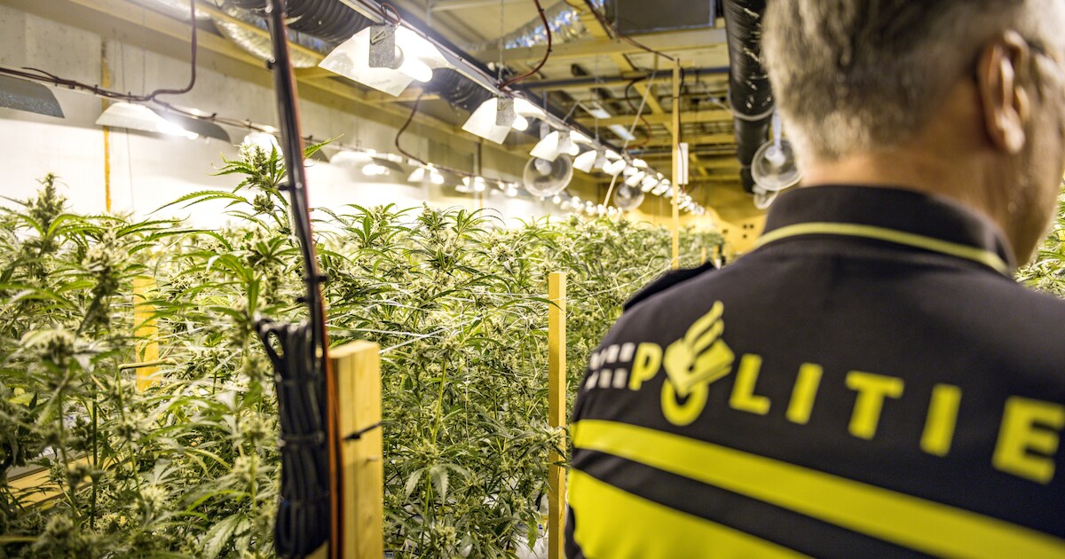 Drugsvondst na grote controle opslagboxen in Amerongen: nog geen aanhoudingen