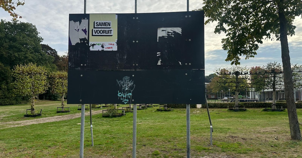Verkiezingsposters in Bergeijk tot twee keer toe weggehaald