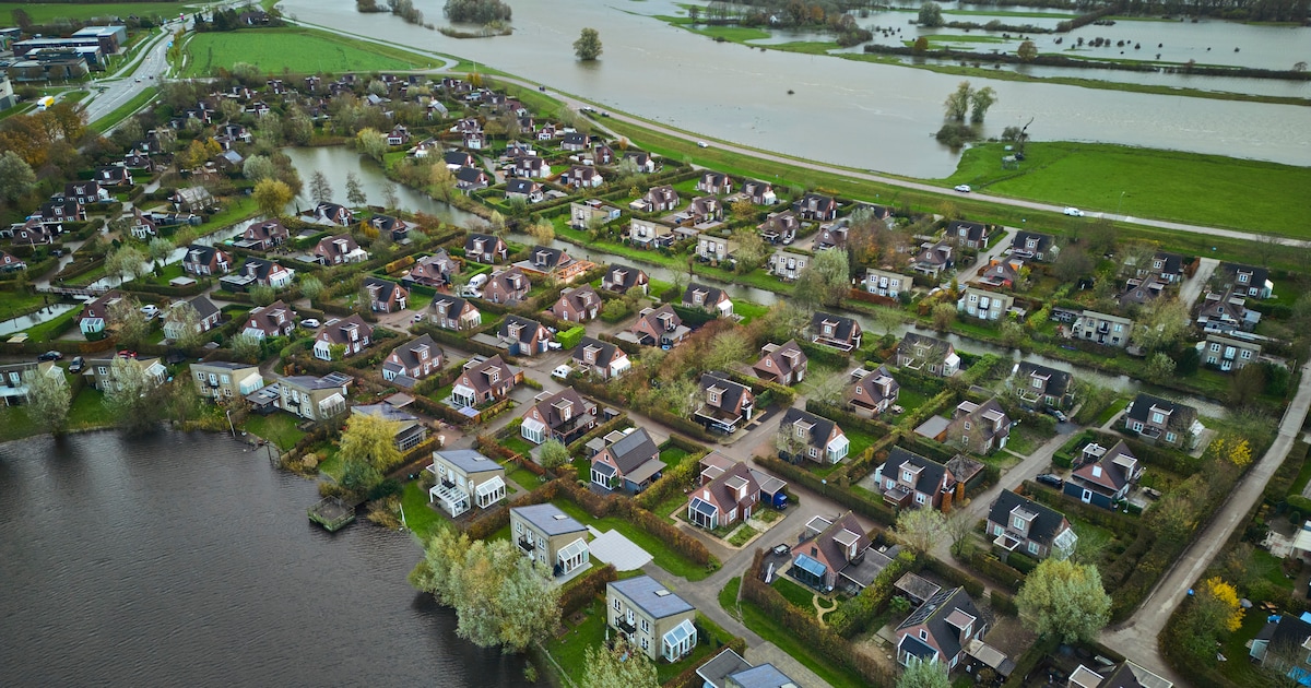 Eindelijk rust op de dijk? Gemeente grijpt kans nu waterschap dijk versterkt