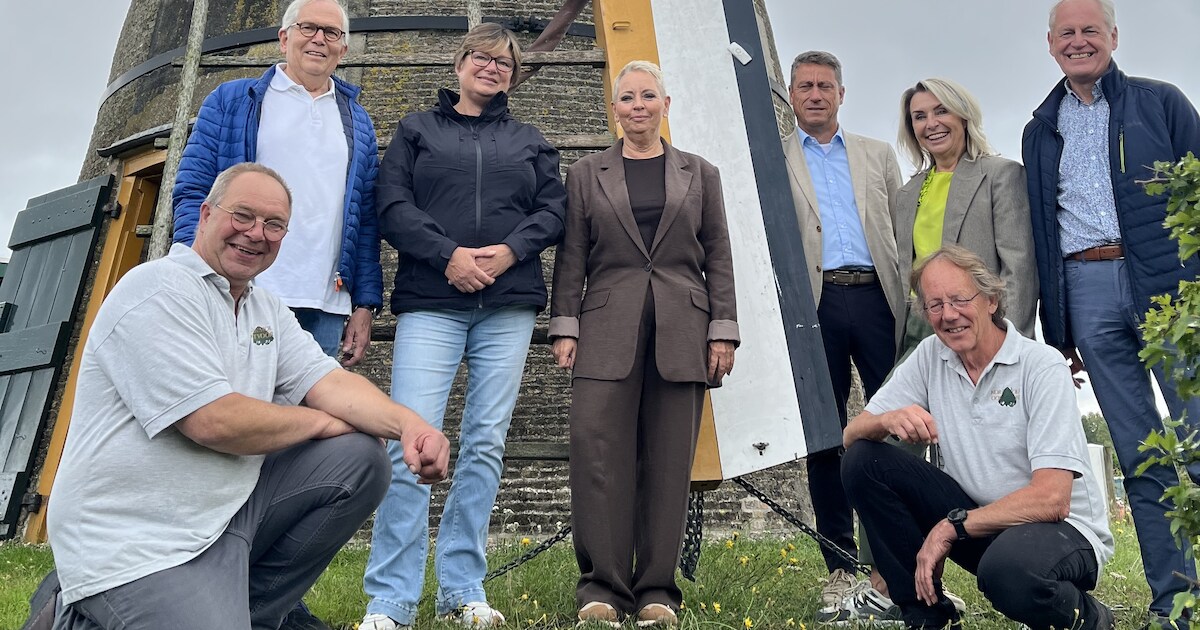 Gemeente Voorne aan Zee koopt korenmolen om ‘historische parel te behouden’