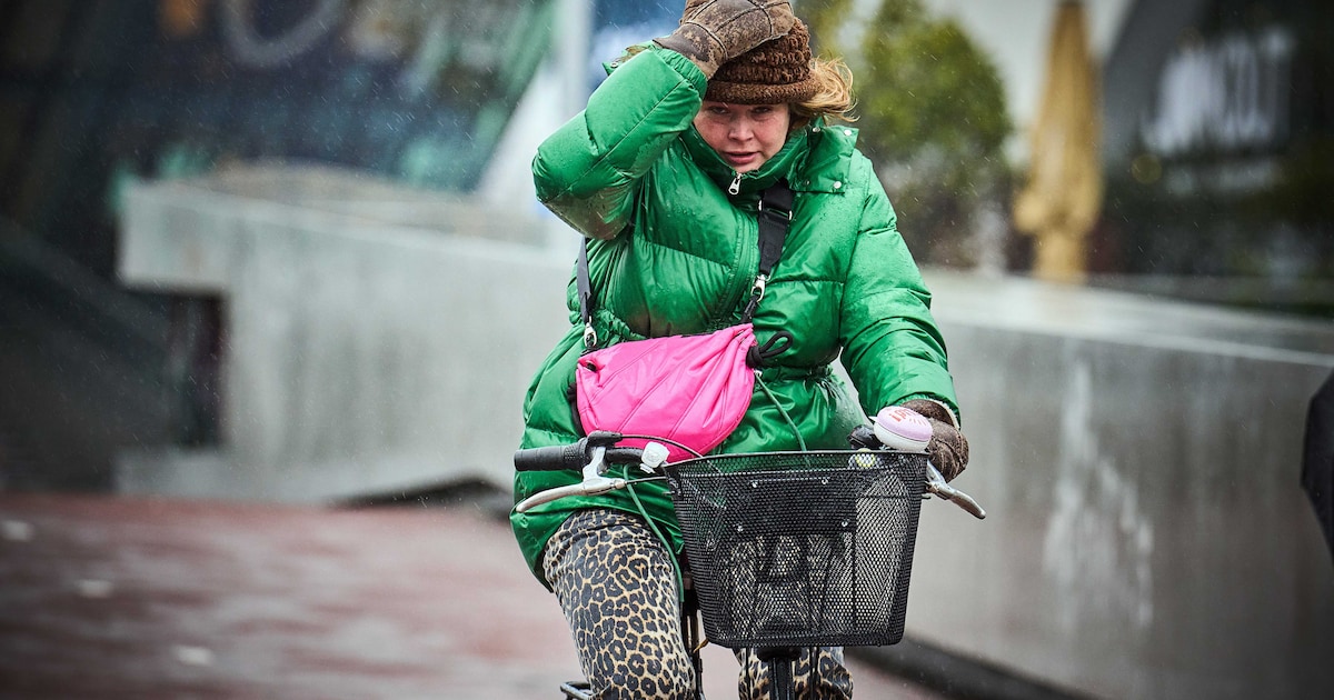 Code geel om windstoten tot 90 kilometer per uur in Noord-Holland