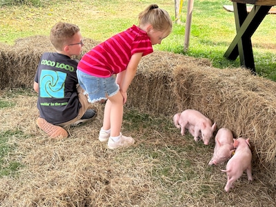 Boert Bewust en The Pig Story bekrachtigen samenwerking in Horssen