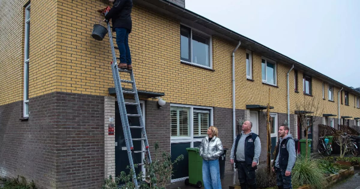 Purmerend komt met nieuwe aanpak voor vleermuisbescherming in huizen