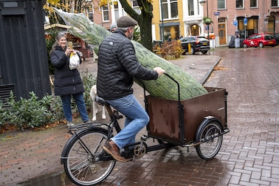 Kerstboom kopen in Utrecht: hier kan het binnenkort