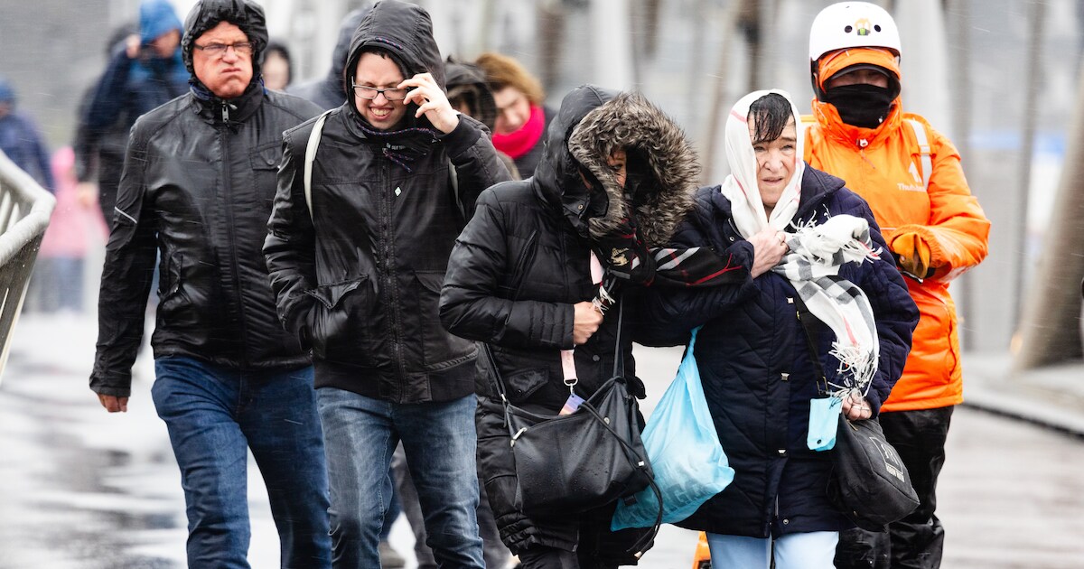 Tuinfeest Boswijk donderdag geannuleerd vanwege onvoorspelbare weersverwachtingen