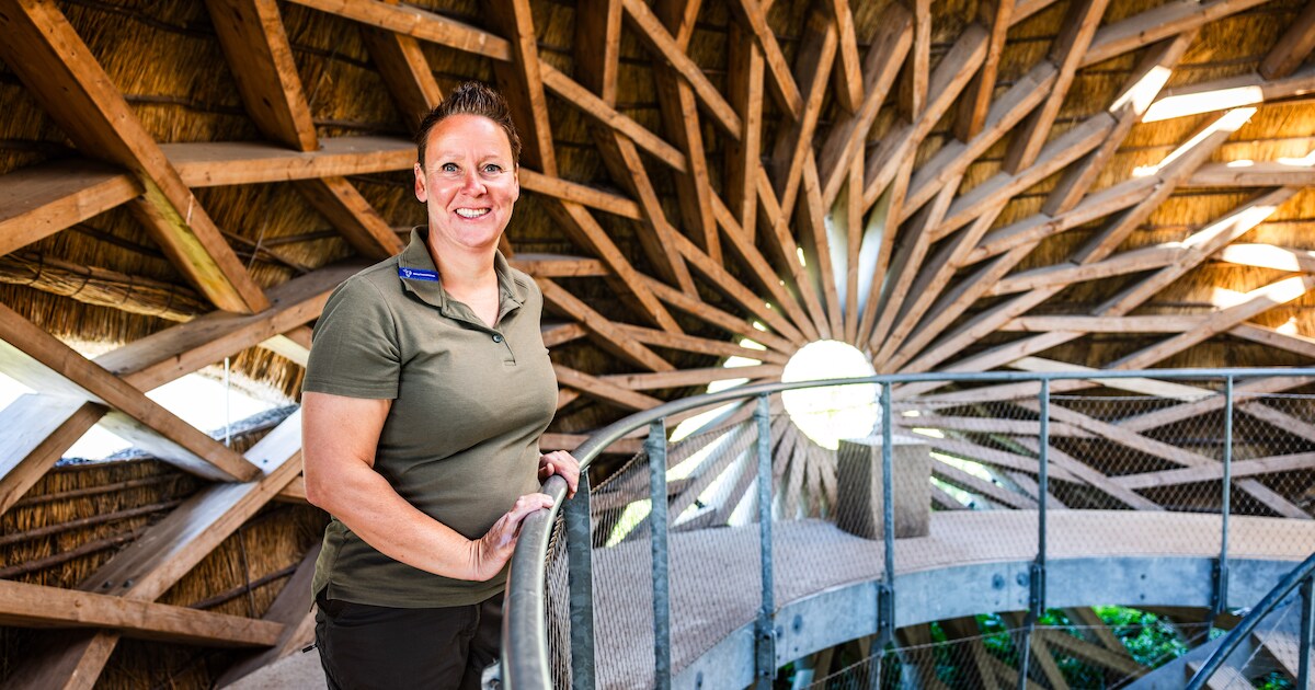 Natuurgenieters genieten van vogelkijkhut Tij, maar dieven probeerden de verrekijker te stelen