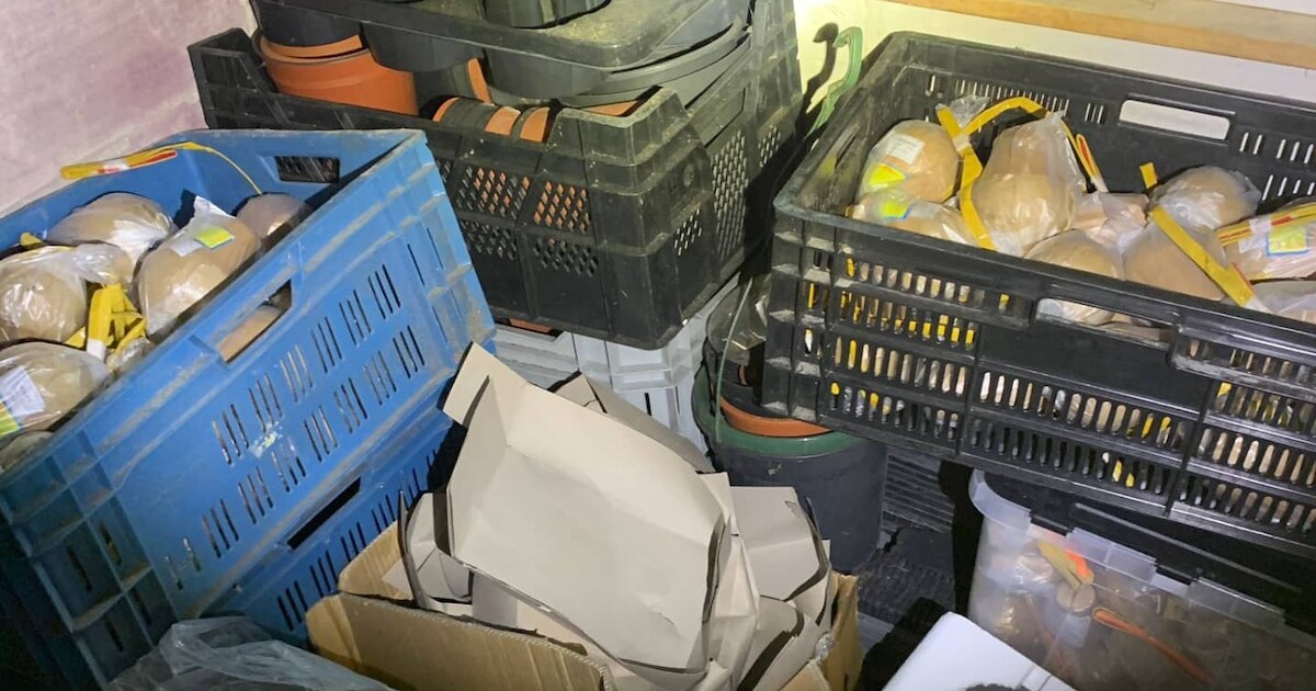 43 kilo illegaal vuurwerk in woning Leerbroek gevonden, minderjarige aangehouden | Jaarwisseling Riv