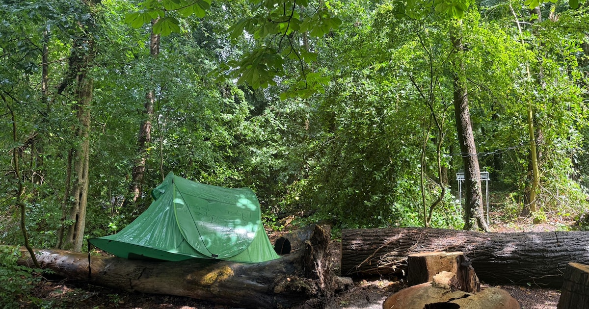 Tent, nat matras en stoel aan het water: dakloze man (38) leefde tijden in parkje, maar nu is zijn t