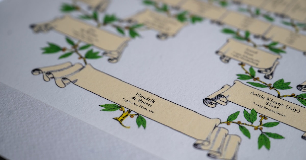 Stamboomcafé in Kempen- en Peelland: gratis hulp bij voorouders zoeken