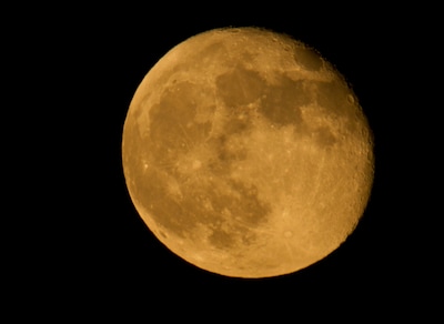 Volle maanwandeling in het Bergerbos bij Afferden