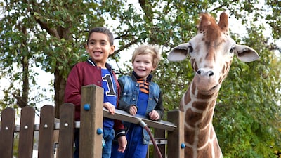 Focus Filmtheater Arnhem houdt kinderprogramma in herfstvakantie