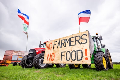 Image related to the article