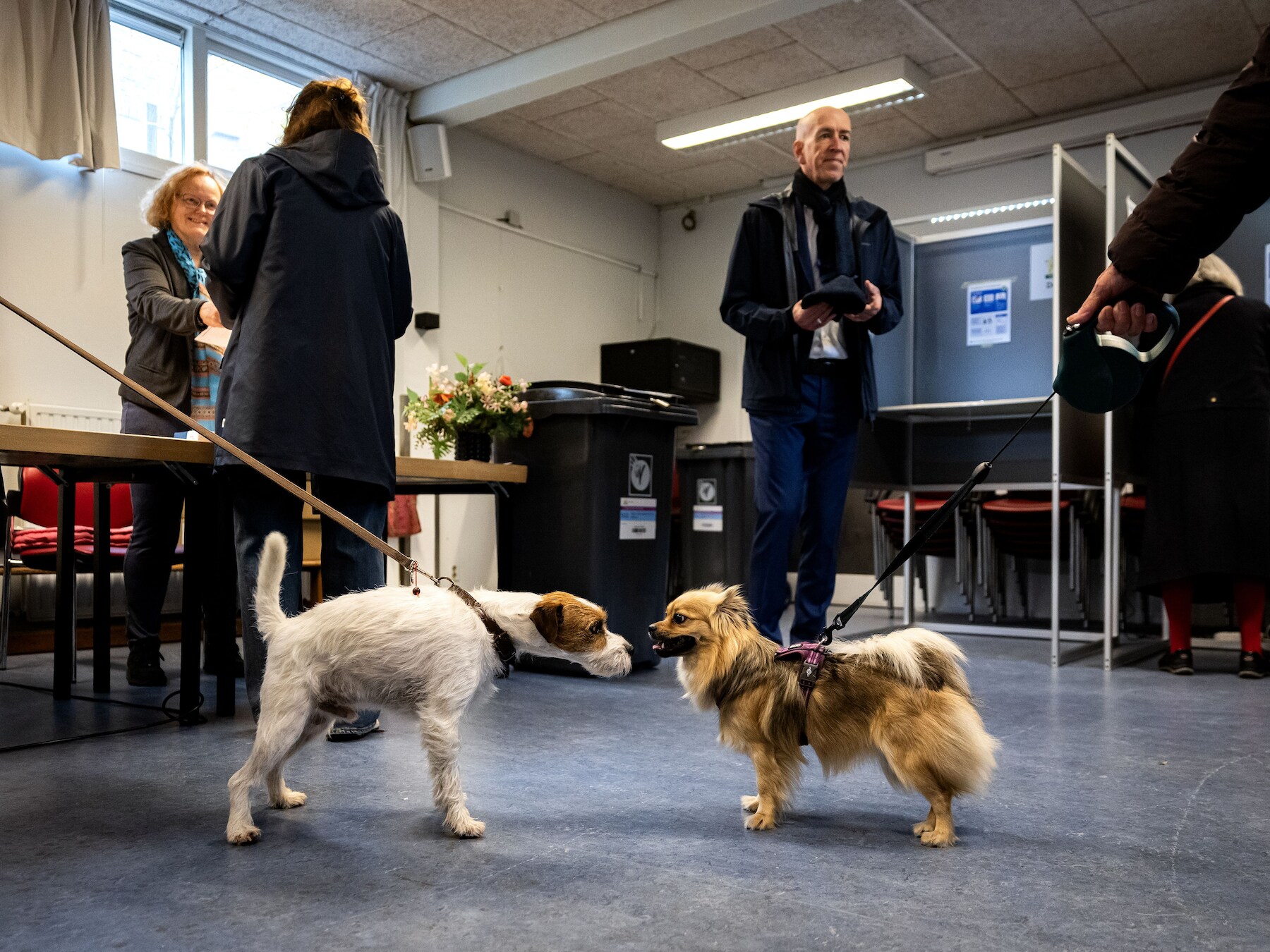 Zo stemde Rotterdam: meeste kiezers voor D66, maar deze partij won in meer stembureaus