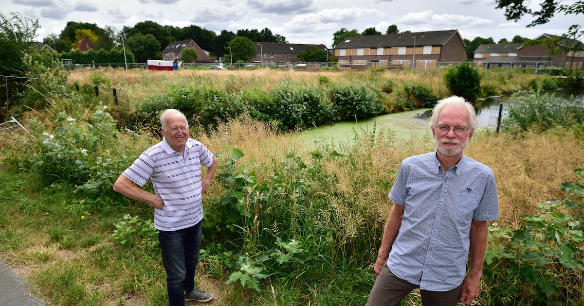 Enkele bewoners houden honderd nieuwe huizen al jaren tegen: ‘Wat heb je liever, bruisend dorp of ge