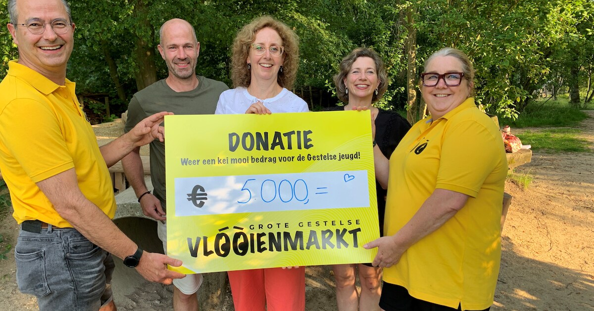 Grote Gestelse Vlooienmarkt steunt herstel speeltuin in Sint-Michielsgestel