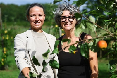 Voor het eerst siert dit uitstervende fruit uit eigen moestuin de corsowagen in Buren: ‘Mooi om oud 